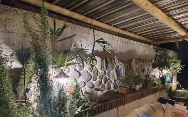 Yingying's yard