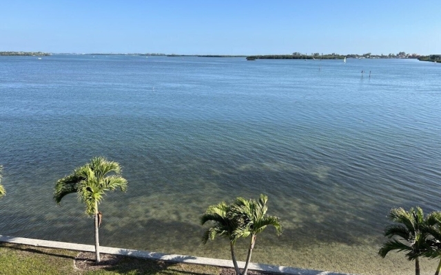 The Views at Lemon Bay