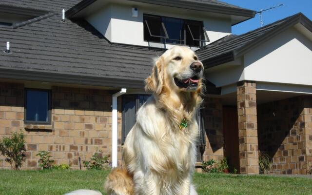 Ohuka Place Homestay