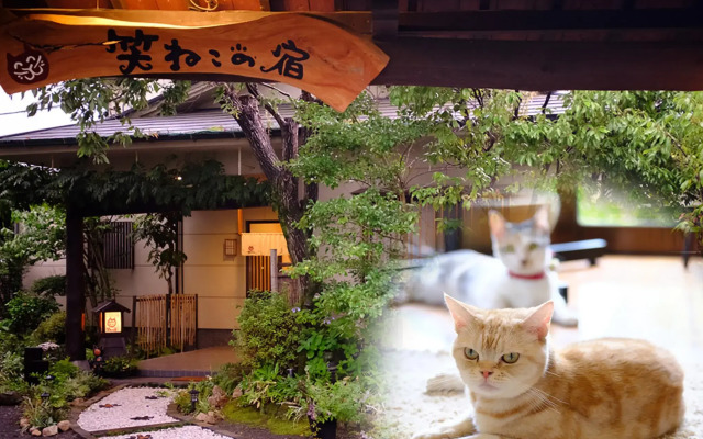 Yufuin Waraneko no Yado