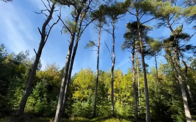 Cozy Beach House With Spa - By Traum Ferienwohnungen