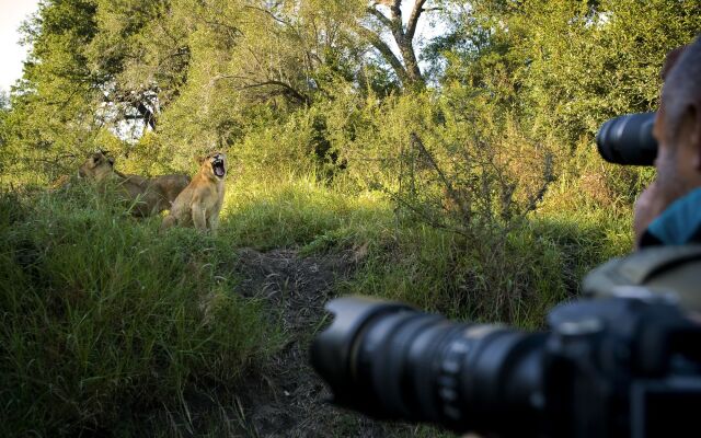 Lion Sands Tinga Lodge