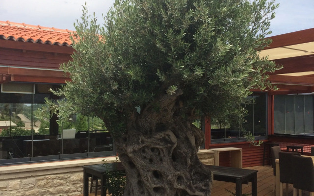 Urla Bagevi Boutique Hotel - Special Class