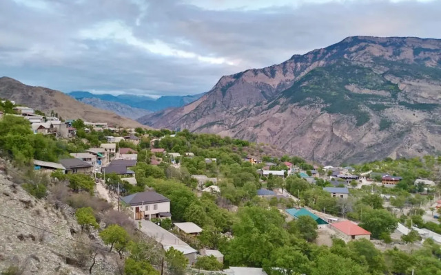 Родное гнездо