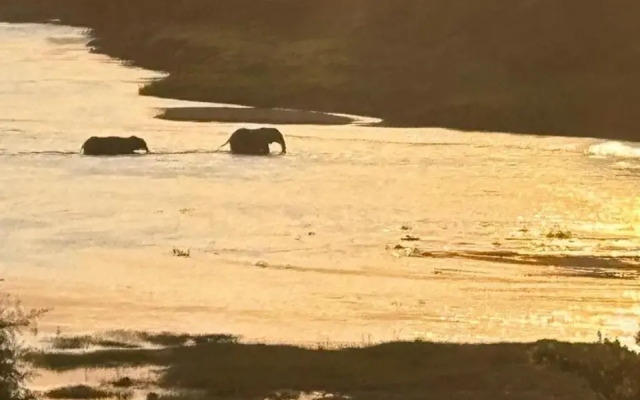 Rio Vista Lodge