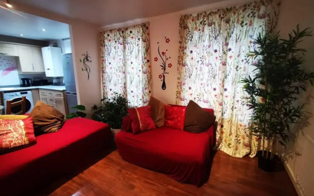 Modern and Cosy Apartment in North London, UK