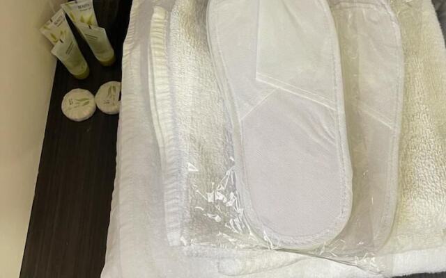 Yerevan Apartment at Tpagrichner