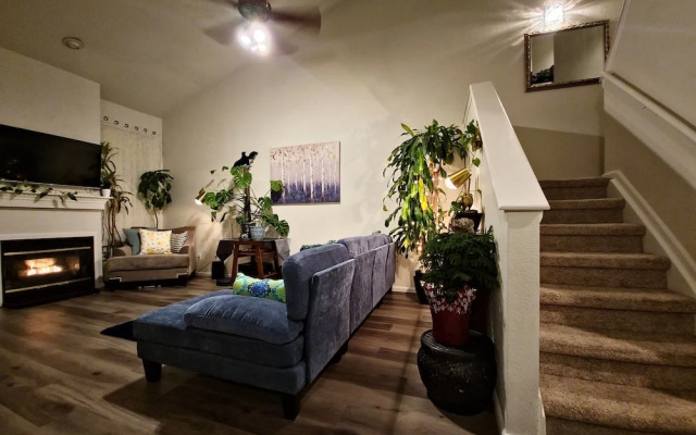 Casa de gato