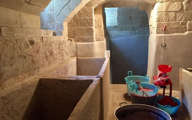 Trapetum Salento Domus
