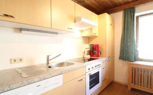 Spacious Apartment in Mittersill near Ski Area
