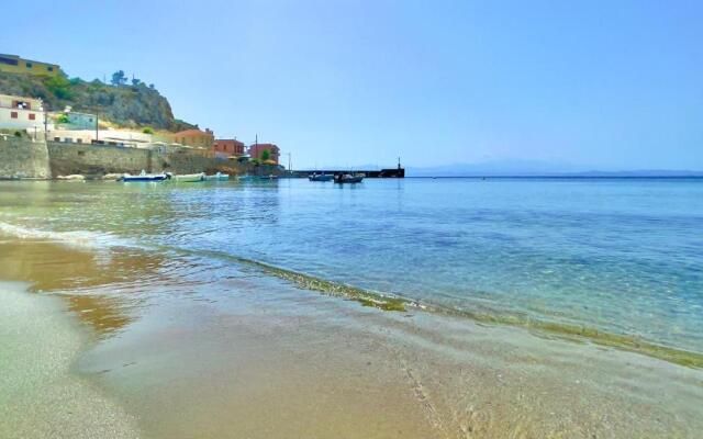 Myrtilo Waterline 2 (Orange)