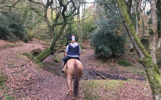 Pardlestone Farm: B&B