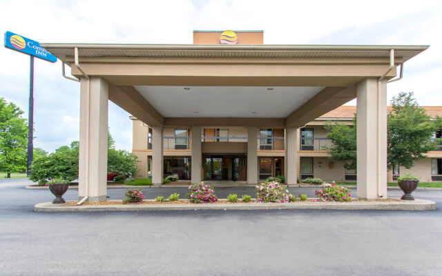 Comfort Inn