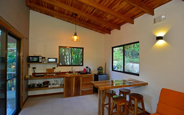 Aves De Tierras Altas