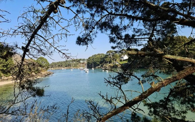 Studio les Trois Etoiles de Mer