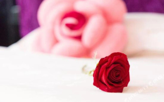 Wuyi International Hotel