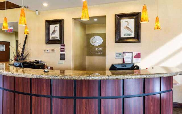 Comfort Suites near NASA - Clear Lake