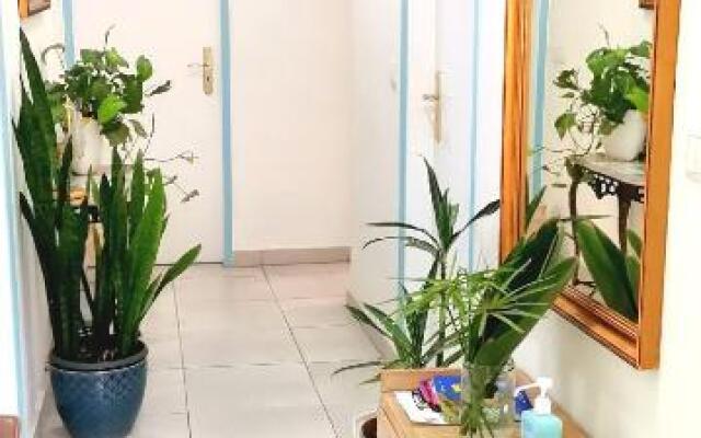Home & Flower 3