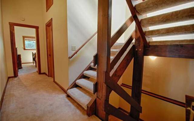 Commonwealth's Dream