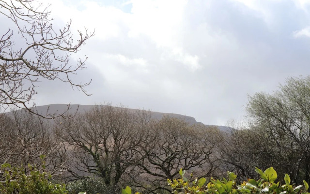 Rowantree