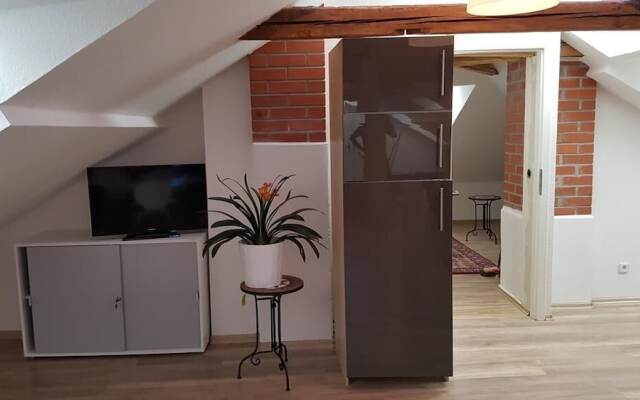 Dresdner-Tag Hermann