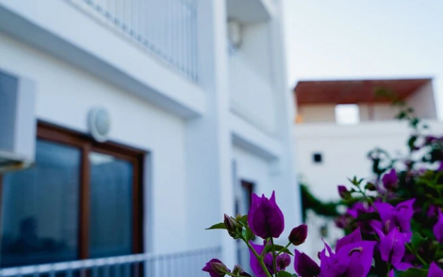 Rozetta Hotel