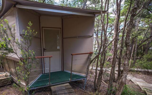 Southwest Wilderness Camp - Tasmania