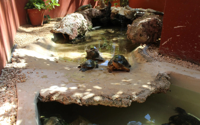 El Acuario Hotel