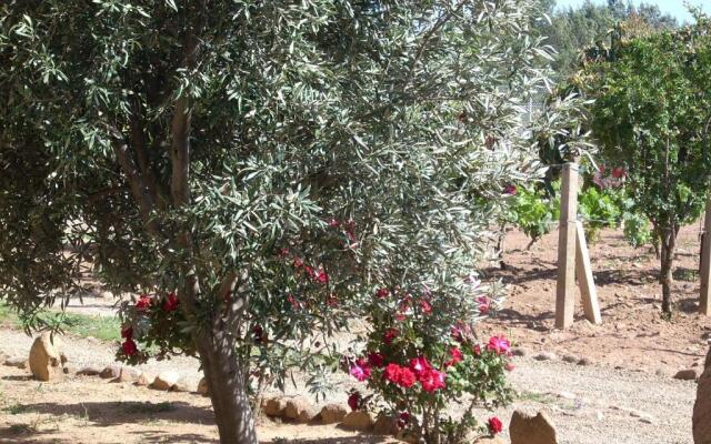 B&B Il Vigneto
