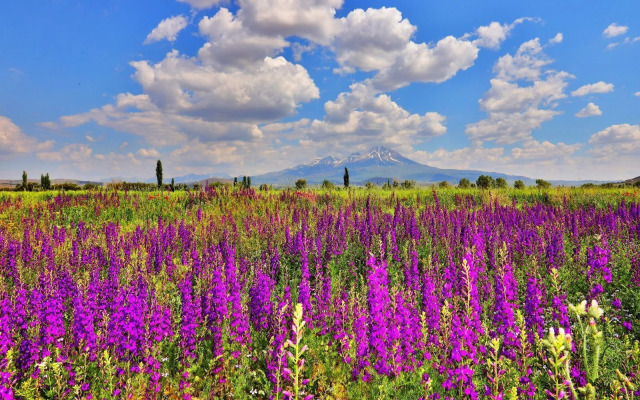 Karbeyaz Hotel & Resort