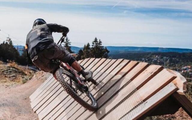 Harz Chalet Patronus - 120qm & Biosauna - neben Stabkirche