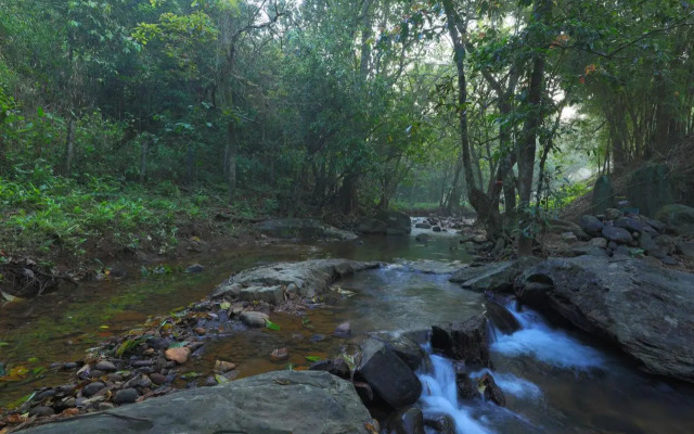 Abad Brookside Wayanad