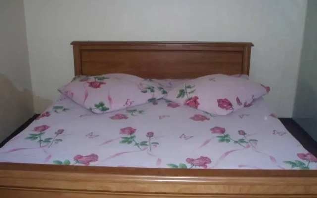 Hostel Vatra