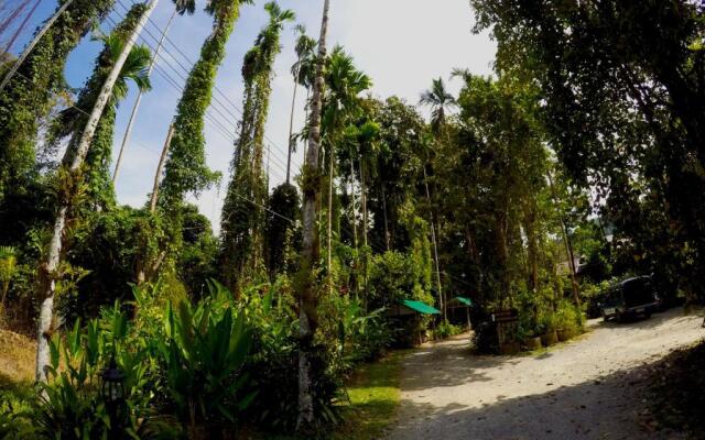 Morning Mist Resort