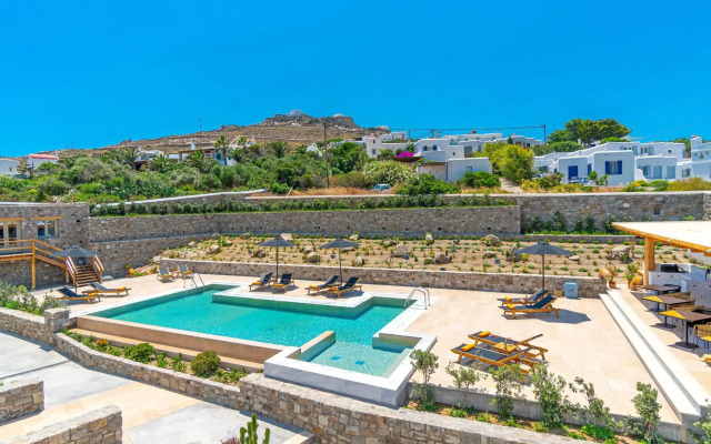 Mykonos Cactus