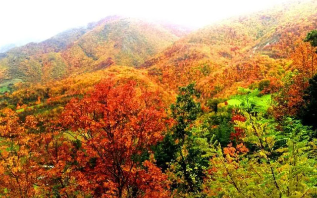 Villa Sarnano Waterfall