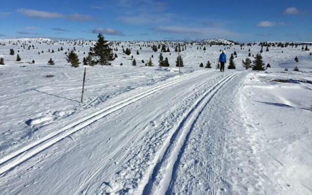 Lilleset Cabin - Gol