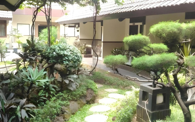 d'Arcici Plumpang