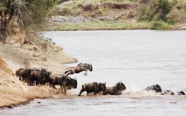 Mara Intrepids Tented Camp