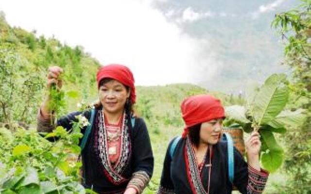 Marigold Boutique Hotel Sapa