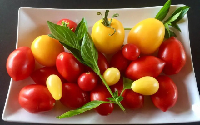 Bed & Breakfast Chez Lips