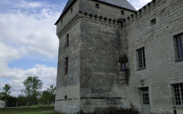 Gîtes du Château de Monts sur Guesnes