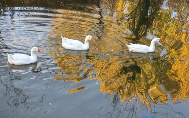 Lijiang junayuanzhu Homestay