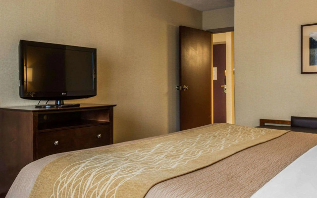 Comfort Inn & Suites Montpelier-Berlin