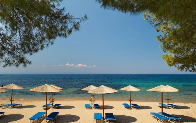 Blue Dolphin Hotel