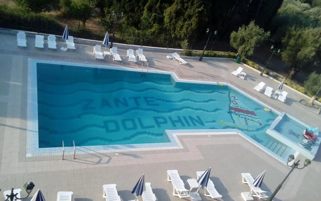 Zante Dolphin