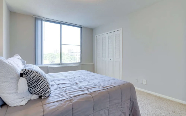 Beautiful & Spacious Apt in Crystal City