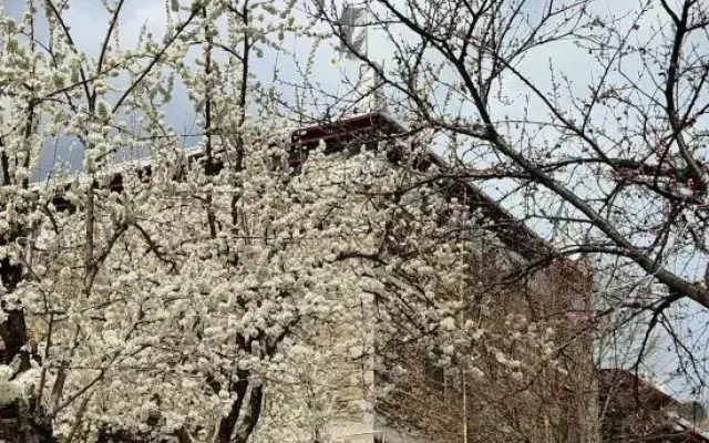 Danba Time Starry Sky Guesthouse