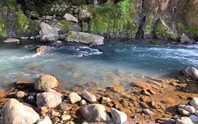 SyunkaSyuutou - Vacation STAY 49643v