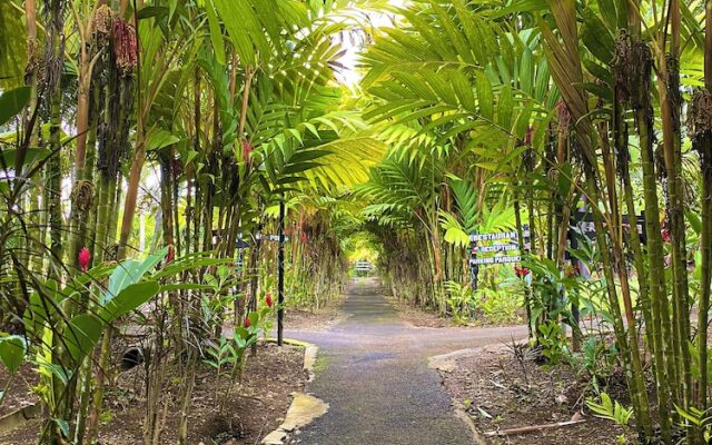 Hotel Heliconias Nature Inn & Hot Springs